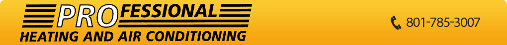 Professional Heating and Air Conditioning